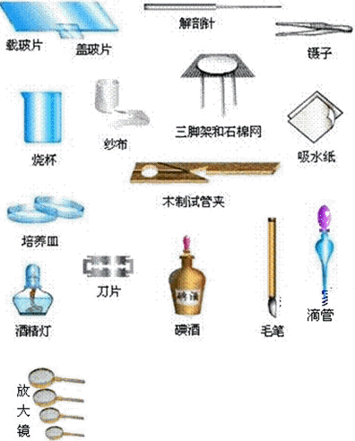 下列有关实验室规则叙述不正确的是