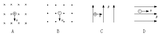 如图所示,标出带电粒子所受的洛伦兹力的方向.( )