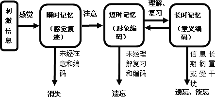 (1)用简洁的语言,描述外界刺激信息变成长时记忆的过程.