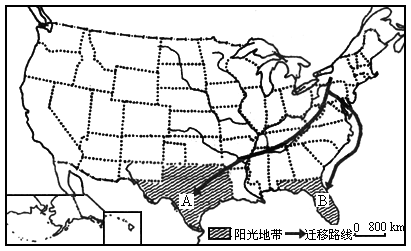 美国当地人口_美国人口(3)