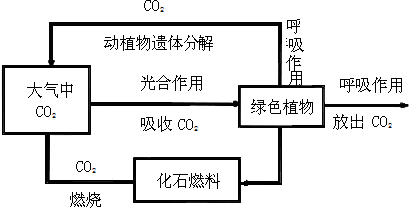 下图是"二氧化碳在自然界中的主要循环示意图",读图回答1~2题.