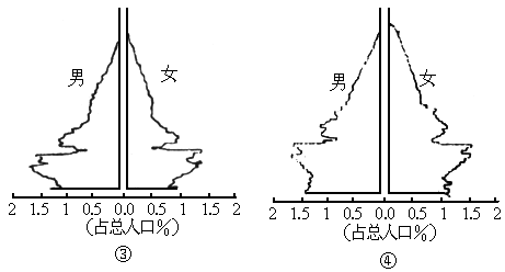 人口普查D_人口普查(2)