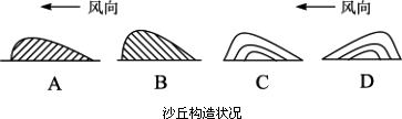 下面四幅图反映了沙丘构造情况请指出哪一幅是流动沙丘构造图