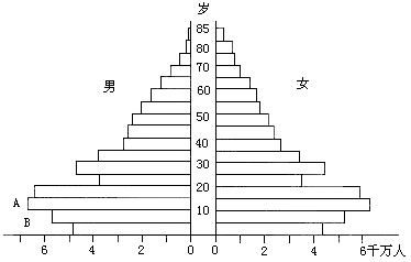 人口金字塔_中国人口金字塔图形