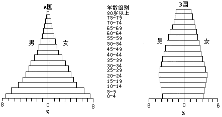 人口金字塔图的判读_人口金字塔