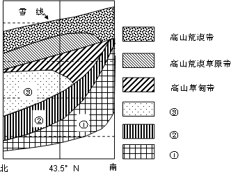 读天山博格达峰部分垂直自然带谱.回答下列下题: (1)