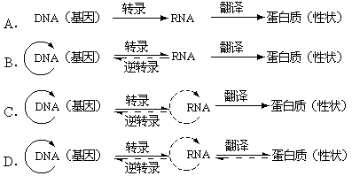 高中生物 题目详情  对中心法则(图示)正确的表示是 试题答案 在线