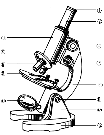 如图是显微镜的结构示意图,请根据图回答下面的问题.