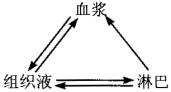 对血浆组织液和淋巴三者间的物质联系的正确表述是