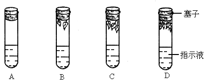 下图每个试管中装有相同体积的指示液.但叶的数目不同.