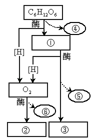 右图是有氧呼吸过程图解.请依据图回答(1)依次写出.