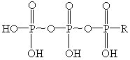 以下是三磷酸腺苷(atp)的分子结构