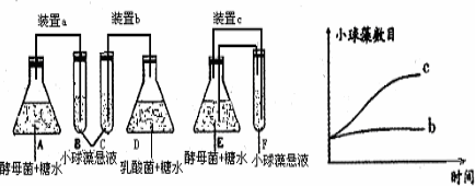 小球藻和衣藻都是单细胞绿藻,有人做了下列实验