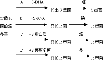 下图是肺炎双球菌转化实验的部分研究过程能充分说明dna是遗传物质而