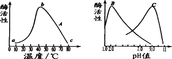 下列分别表示温度.ph与酶活性的关系.相关叙述不正确的有 a.