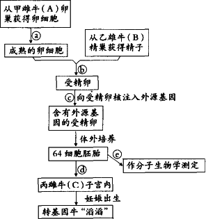 (4) 用什么方法鉴定出生的动物是否整合了外源基因?