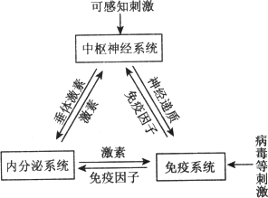 自上世纪四十年代来.人们通过实验陆续发现神