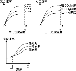 丙分别表示几个环境因素对小麦光合作用达率的影响.