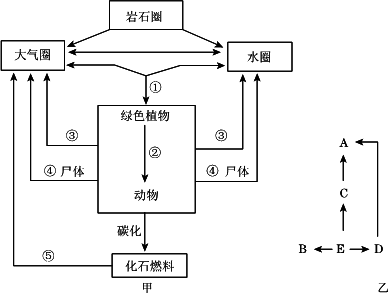 根据碳循环示意图甲和食物网图乙回答问题