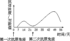 如果第二次免疫与第一次免疫所用的抗原相同且剂量相等.