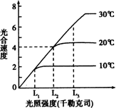 光合速率降低的原因_真光合速率 净光合速率_光合速率降低的原因