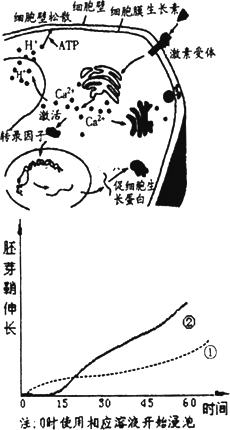 冷冻人口_冷冻食品图片