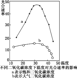 如图表示不同二氧化碳浓度下温度对光合作用速率影响曲线.