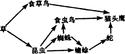 下图为某草原生态系统的食物网.请据图判断下列说法正确的是 a.