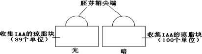 1植物细胞和动物细胞结构相比较都具有234三个结构而且功能基本相同2