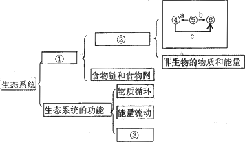 高中生物 题目详情  (1)图中①,②,③分别为