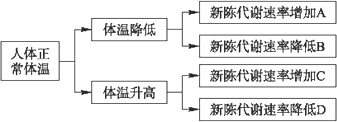 图中a～d的体温调节中,哪一途径表示人体持续生活在过冷环境中并可能