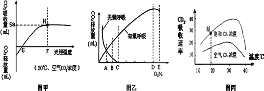 释放体积量变化曲线图丙是在图甲h点条件下测得的相关曲线假定呼吸