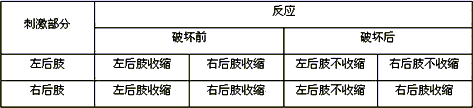 在用脊蛙进行反射弧分析的实验中.破坏缩腿反射弧在左