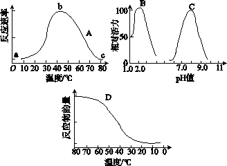 下列叙述不正确的是 a.曲线a表示酶与温度的关系.