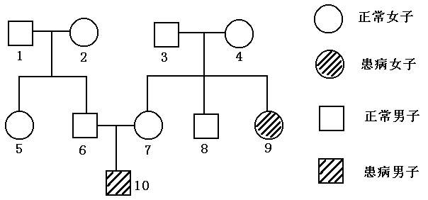 下图是一个家族中某种遗传病的遗传系谱图(设显性基因为b,隐性基因为b