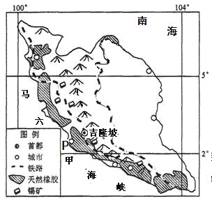 静风和肥沃土壤的热带乔木