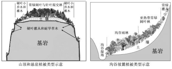 【1】导致山顶植被类型差异的主要因素是( ) a. 降水b. 土壤c. 热量d. 坡度
