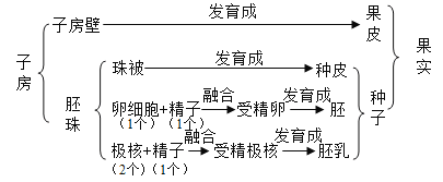 新会柑的果皮是由子房壁发育来的b.