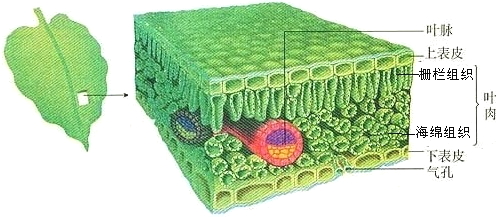  1 A B C 2 3 