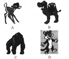 国家森林城市人均公园_中国森林人均占有数