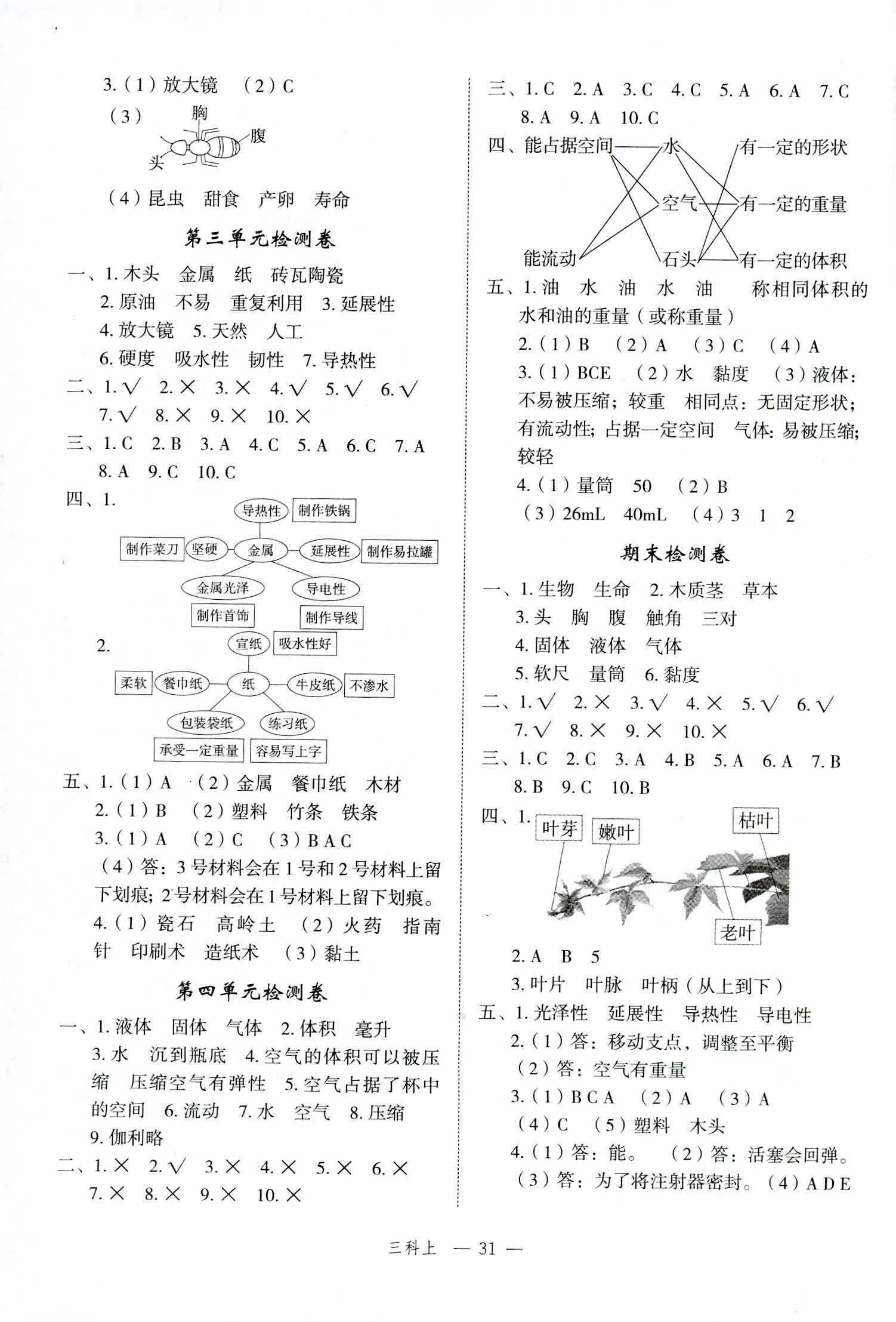 三年级上册科学 答案图片