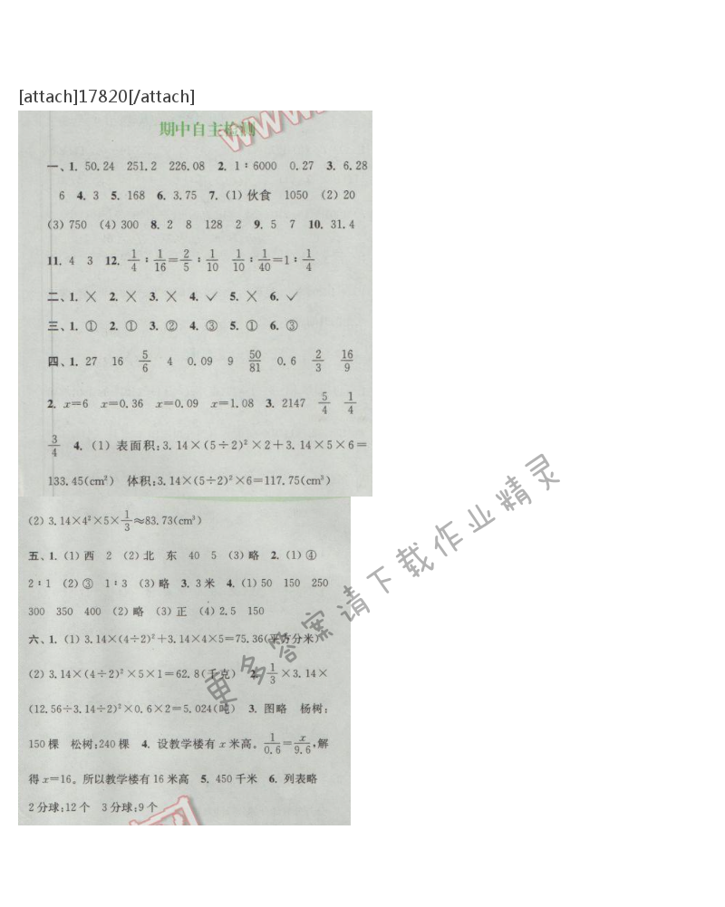 通城学典课时作业本六年级数学下册江苏版期中自测卷