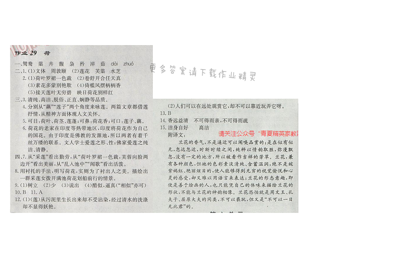 启东中学作业本七年级语文下册江苏版第六单元作业29