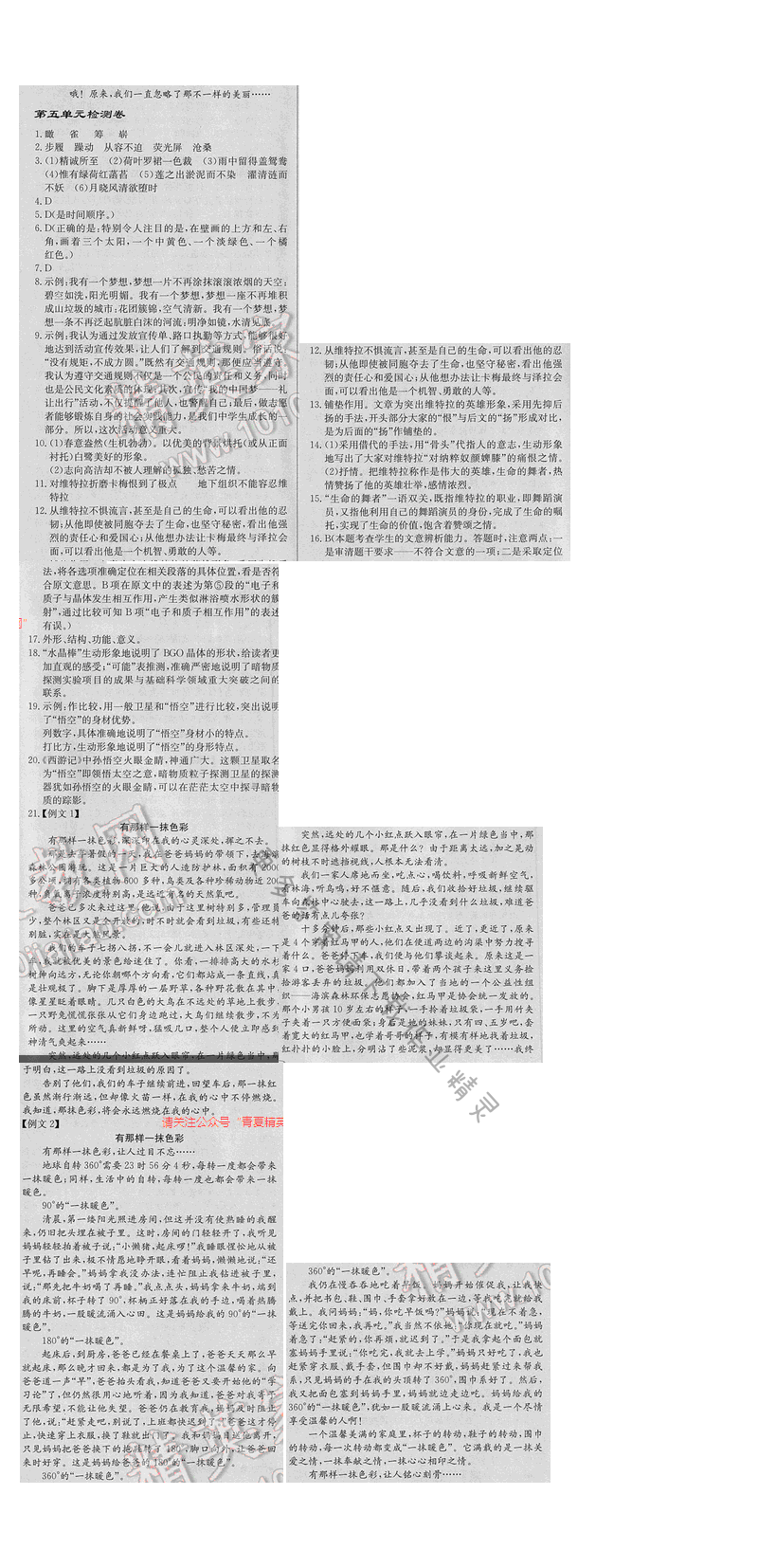 启东中学作业本七年级语文下册江苏版第五单元检测卷