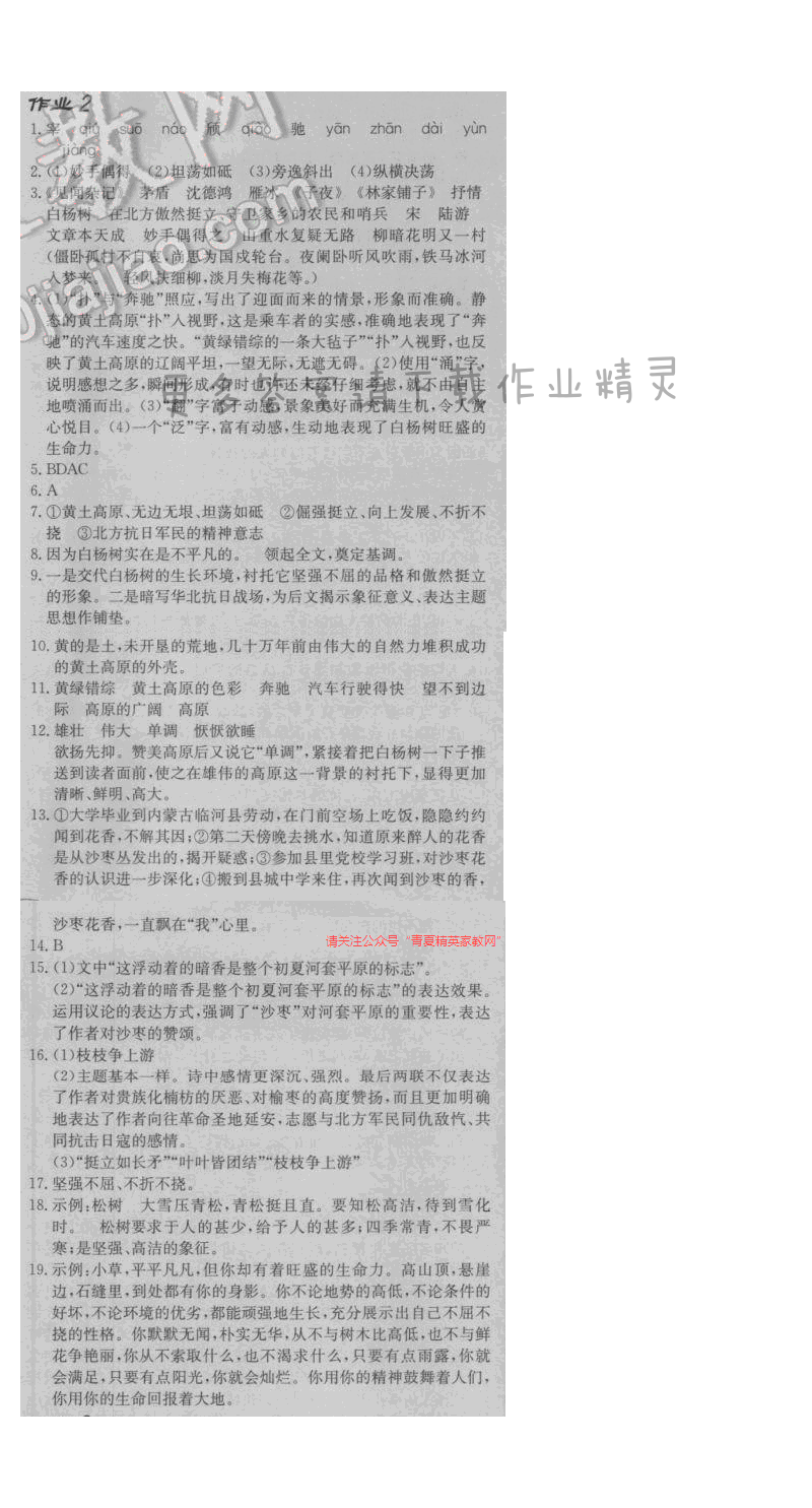 启东中学作业本八年级语文下册江苏版 第一单元 作业二