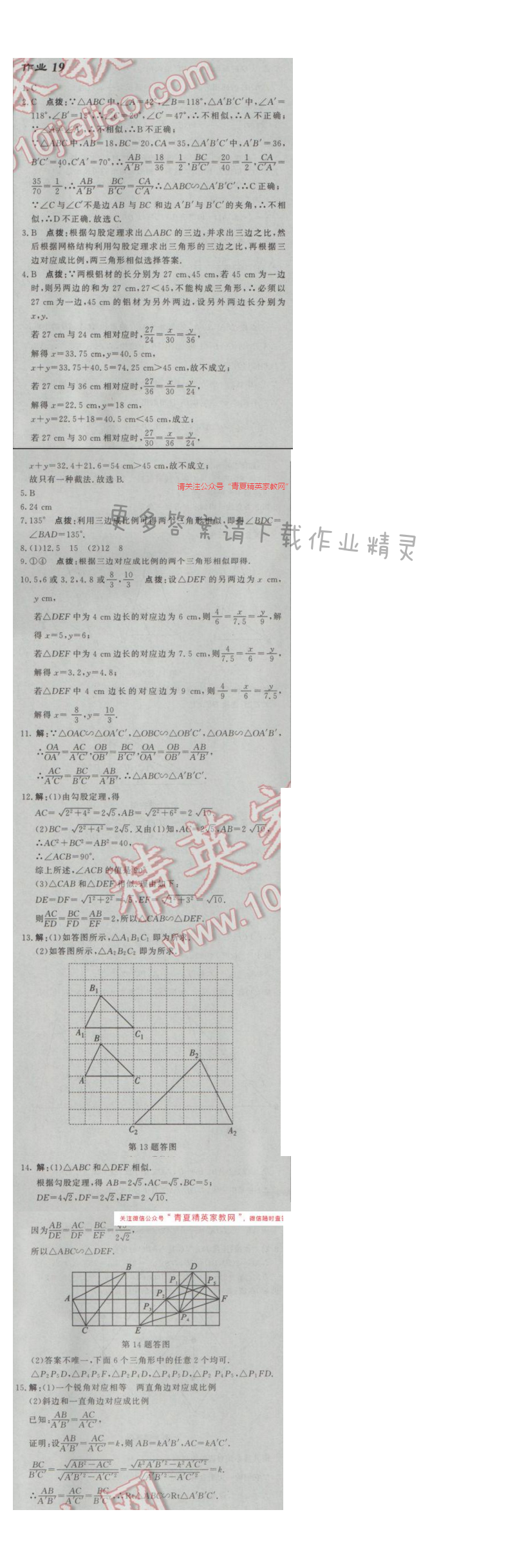 2017年启东中学作业本九年级数学下册江苏版 作业19