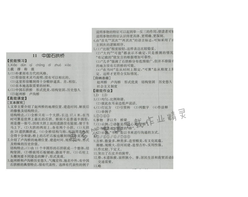 金学典同步解析与测评八年级语文上册（人教版）11.中国石拱桥