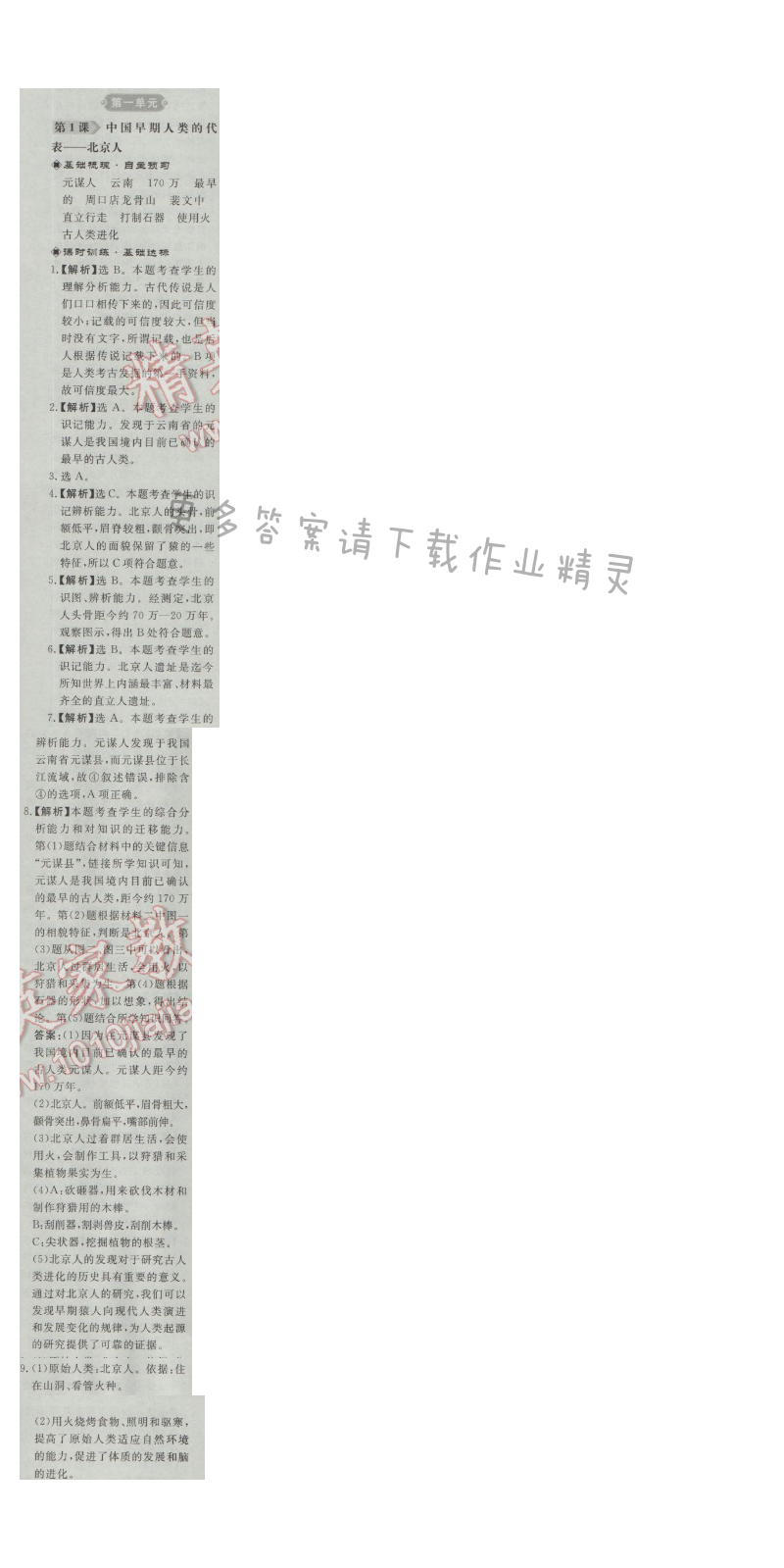 同步练习册七年级历史上册人教版 第1课 中国早期人类的代表——北京人