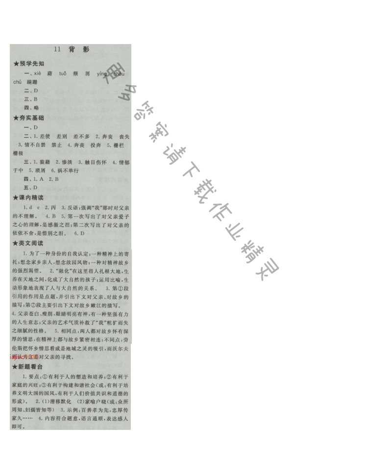 启东黄冈作业本八年级语文上册江苏版 11 背影