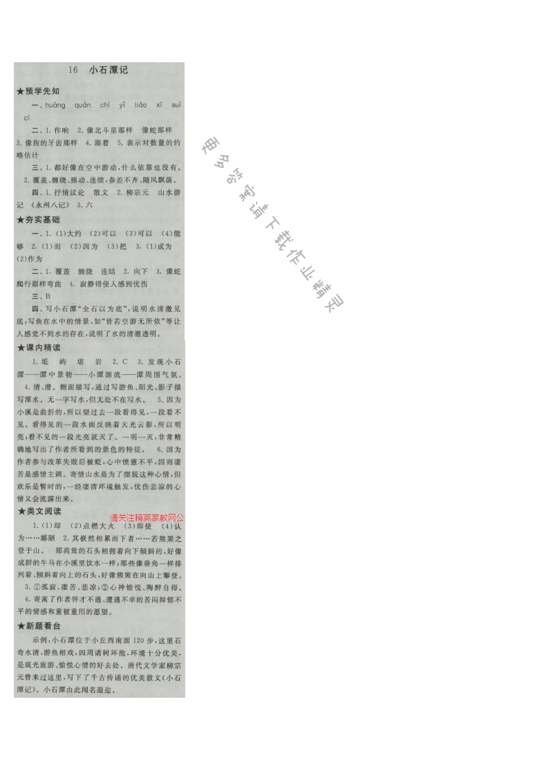 启东黄冈作业本八年级语文上册江苏版 16 小石潭记